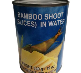 BAMBOO SHOOTS SLICE 540G