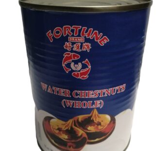 FORTUNE BRAND WATER CHESNUT 567G