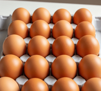 20 LARGE EGGS