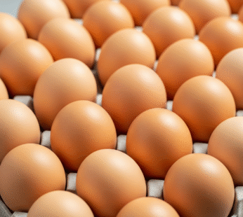 30 MEDIUM EGGS