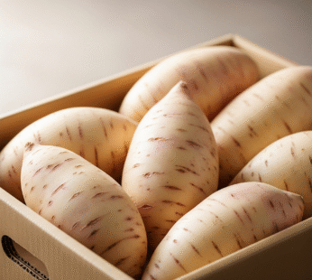 SWEET POTATO WHITE 1KG