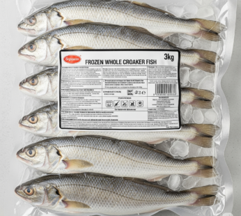CROAKER FISH FROZEN 3KG